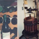 Social - May 1994 - Webb Winery, Vail, AZ - 6.jpg